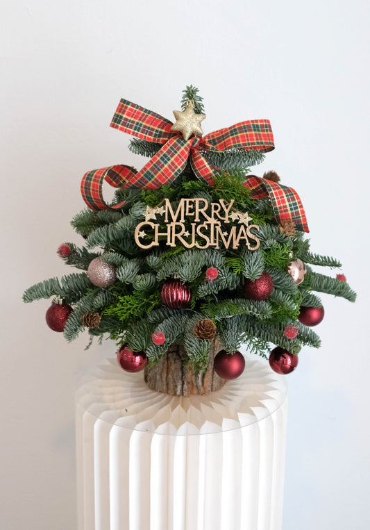 Table top size fresh nobilis Christmas tree