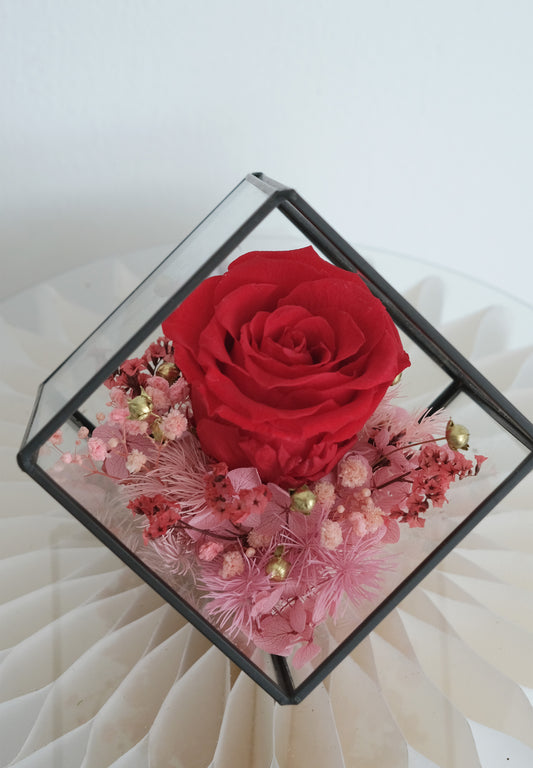 Preserved Flowers Terrarium - Rosy Cube