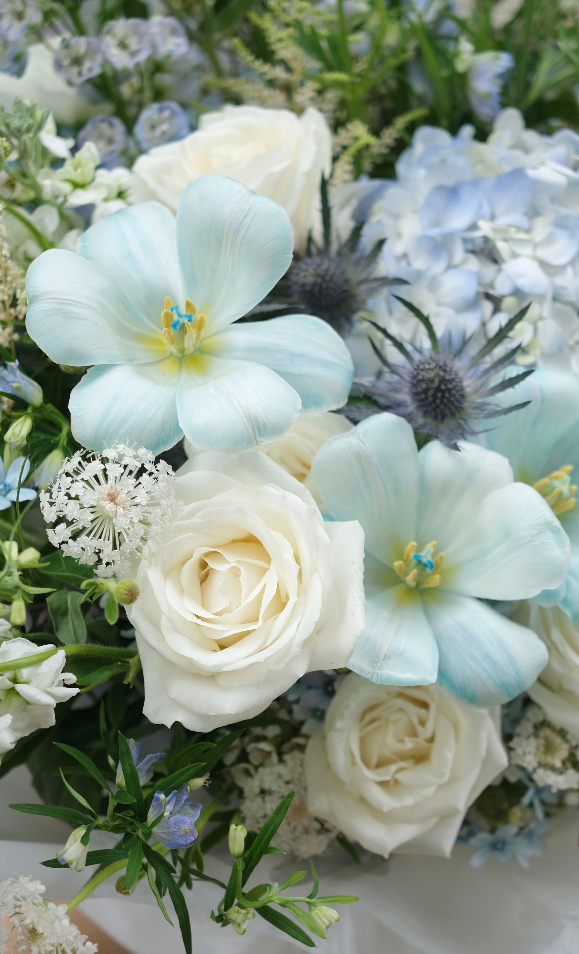 Flower Lab Singapore Florist Choice fresh floral close up tulips ergynium roses