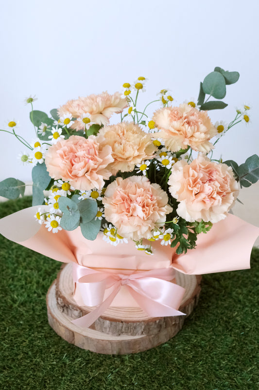 Mother's Day Special Carnation - Gift of Love