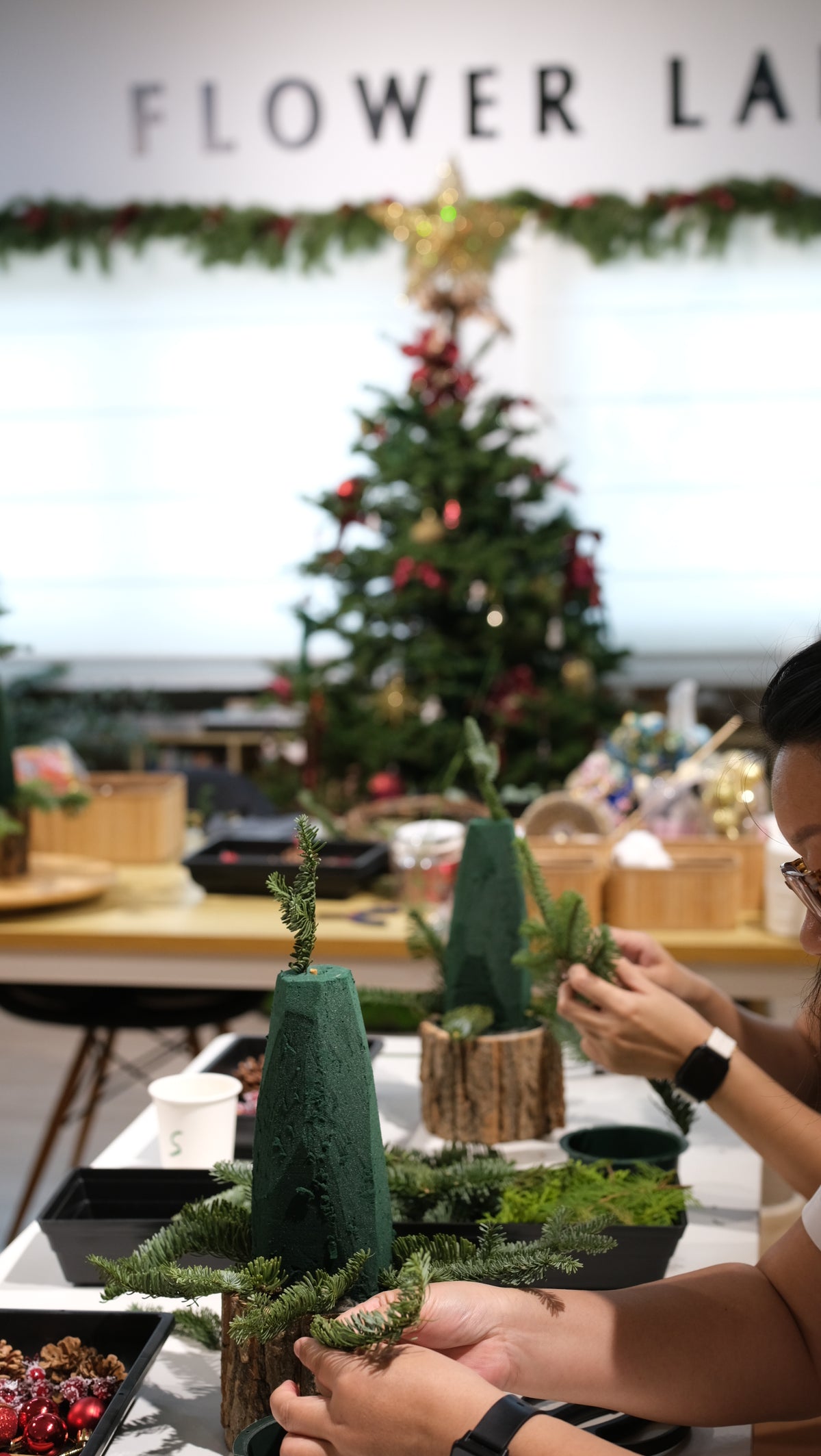 Fresh tabletop Christmas trees lined up on the workshop table with the studio tree behind