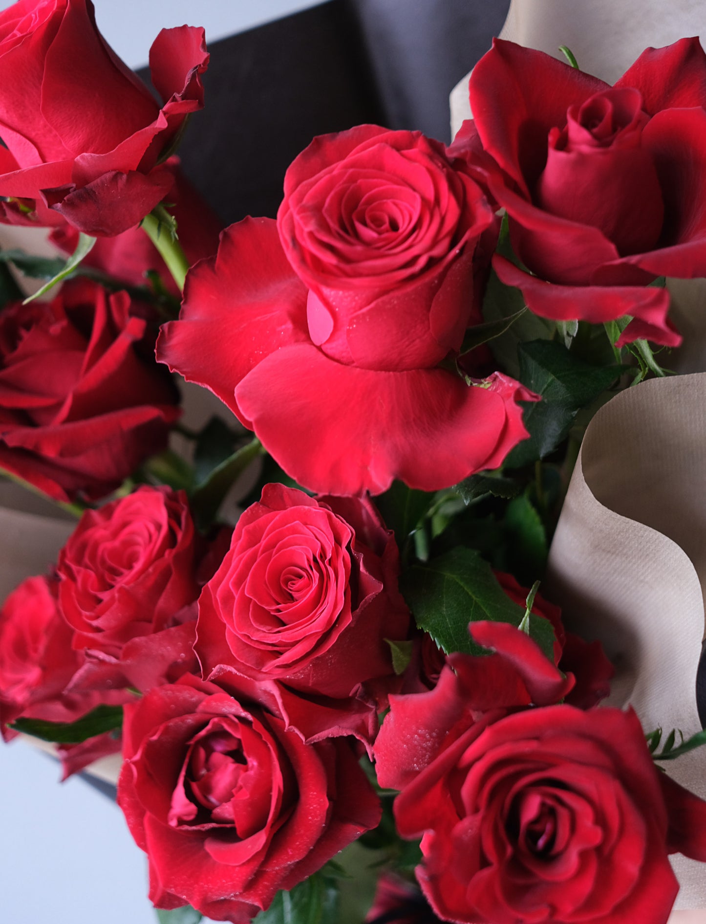 Fresh Roses bouquet { Red & Pink}