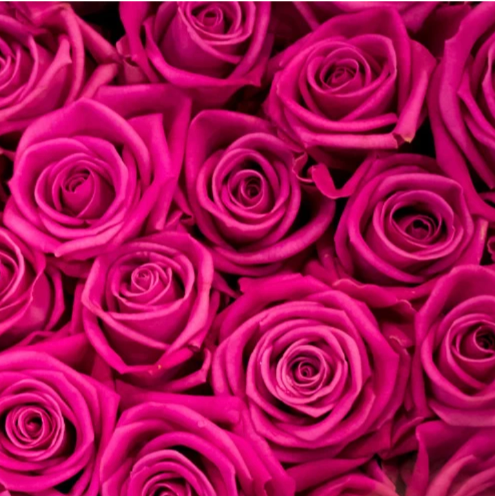 Fresh Roses bouquet { Red & Pink}