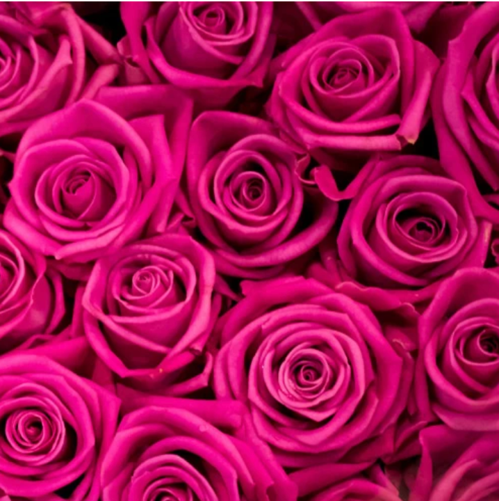 Fresh Roses En Masse { Red & Pink}