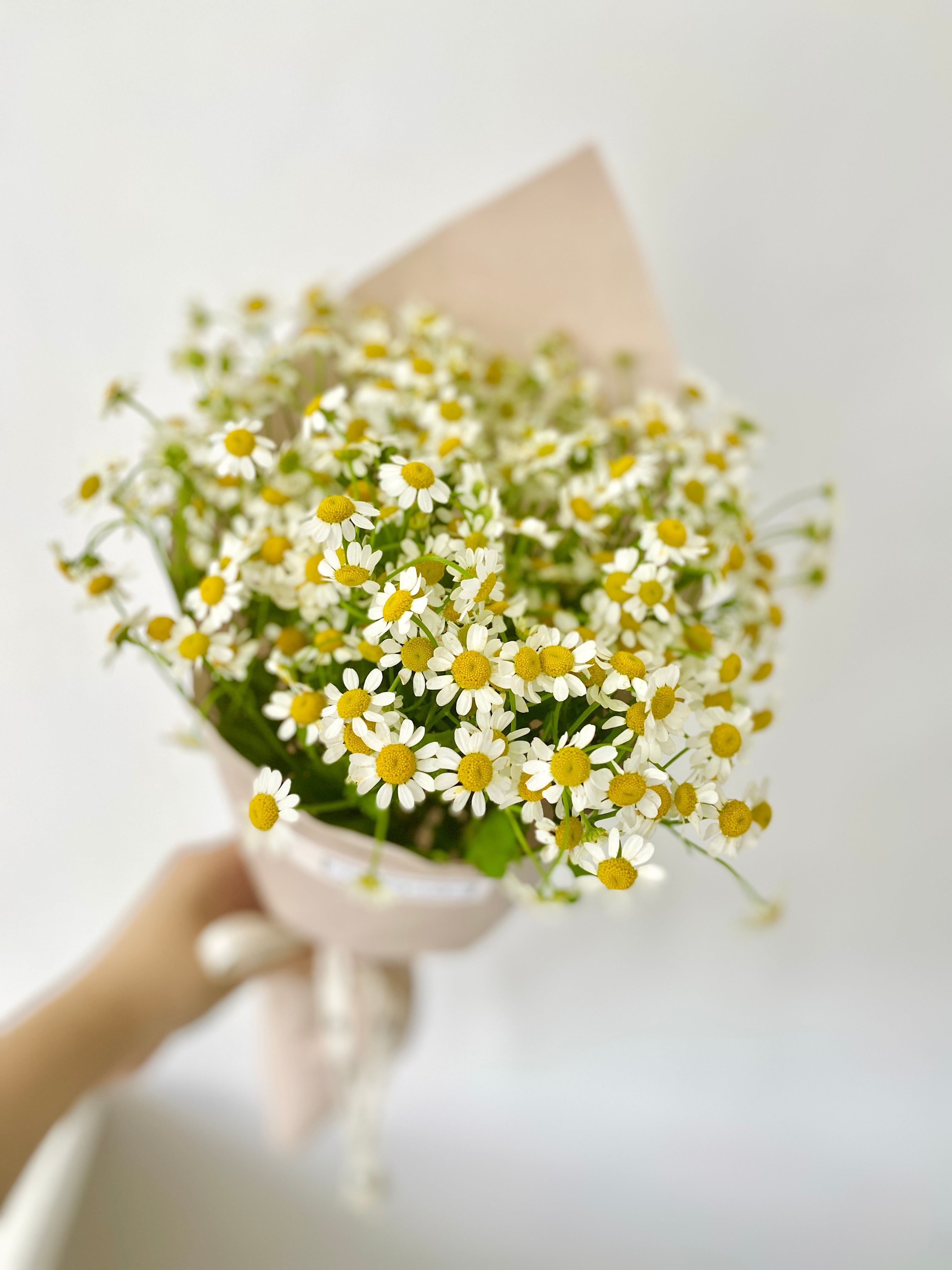 FLOWER LAN SINGAPORE Mini Daisy bouquet Online Flower Delivery