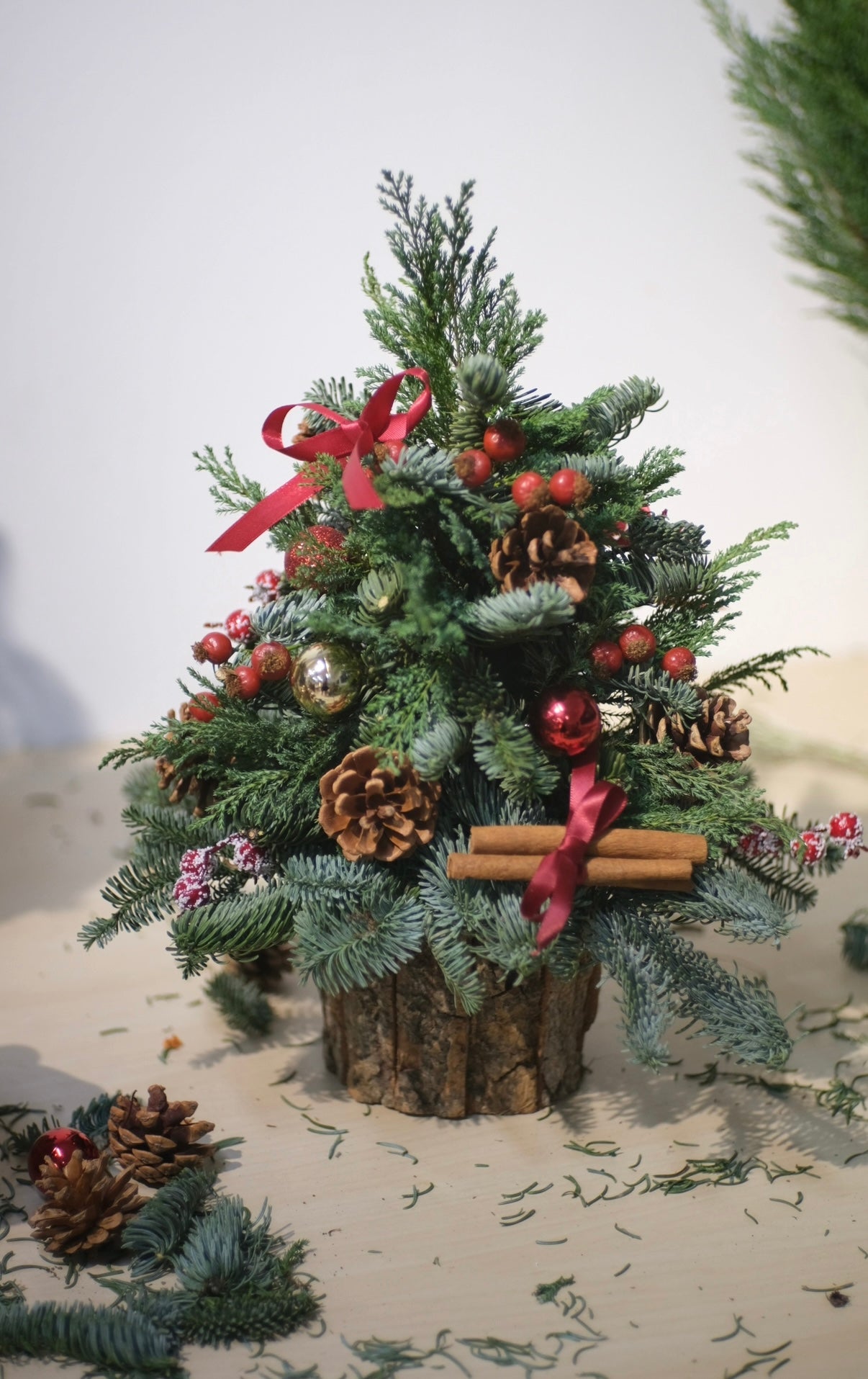 [14th DEC SUNDAY Workshop] Table Magic Christmas Tree