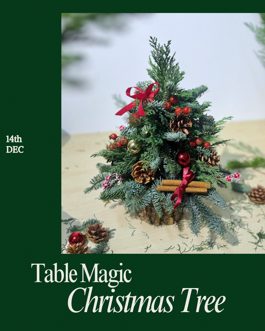 [14th DEC SUNDAY Workshop] Table Magic Christmas Tree
