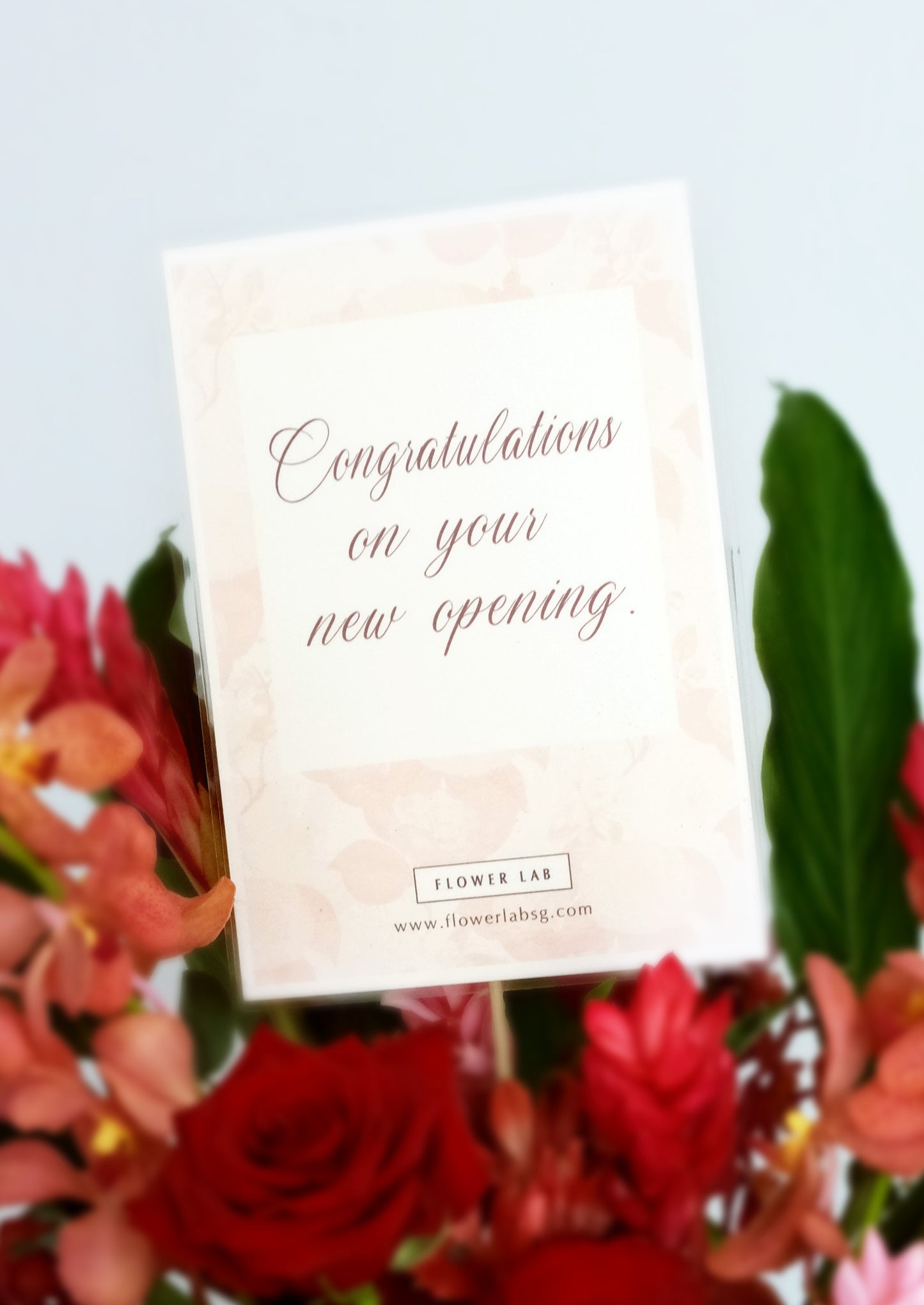 Fresh Floral Congratulatory Opening Stand - Celebration