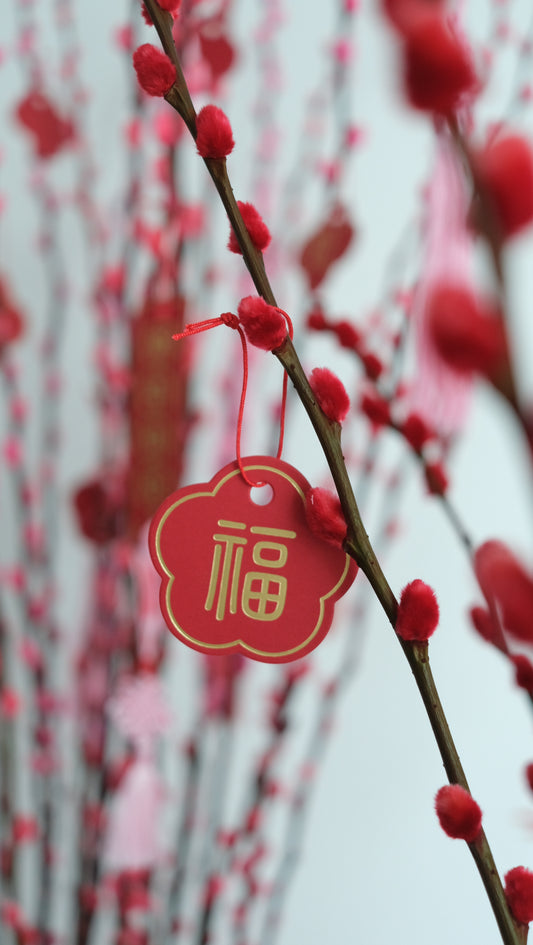 Flower Lab Singapore Chinese New Year Pussy Willows Arrangement close up