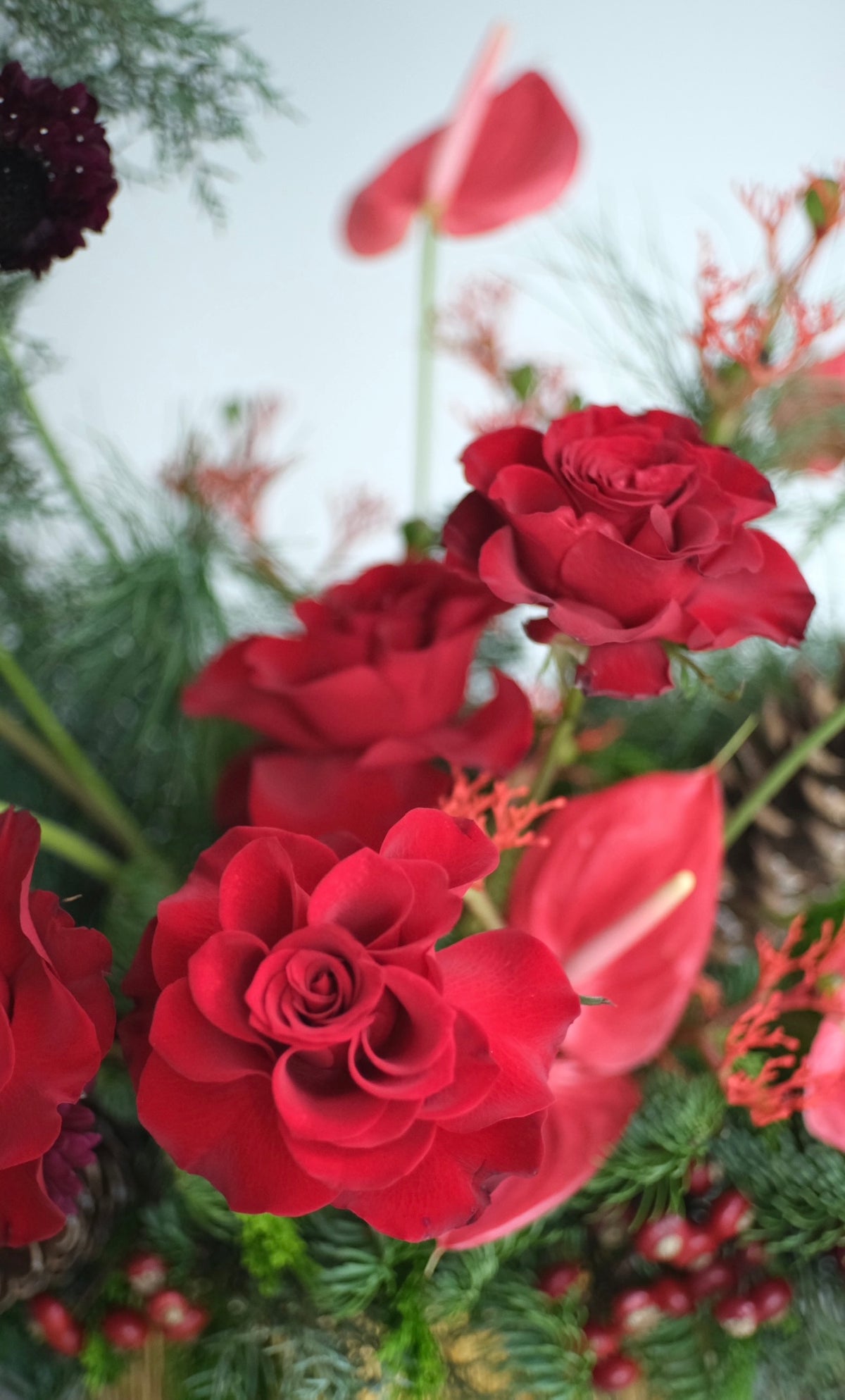 Red and pink Christmas flower arrangement with berries and pinecones in a gold vase
