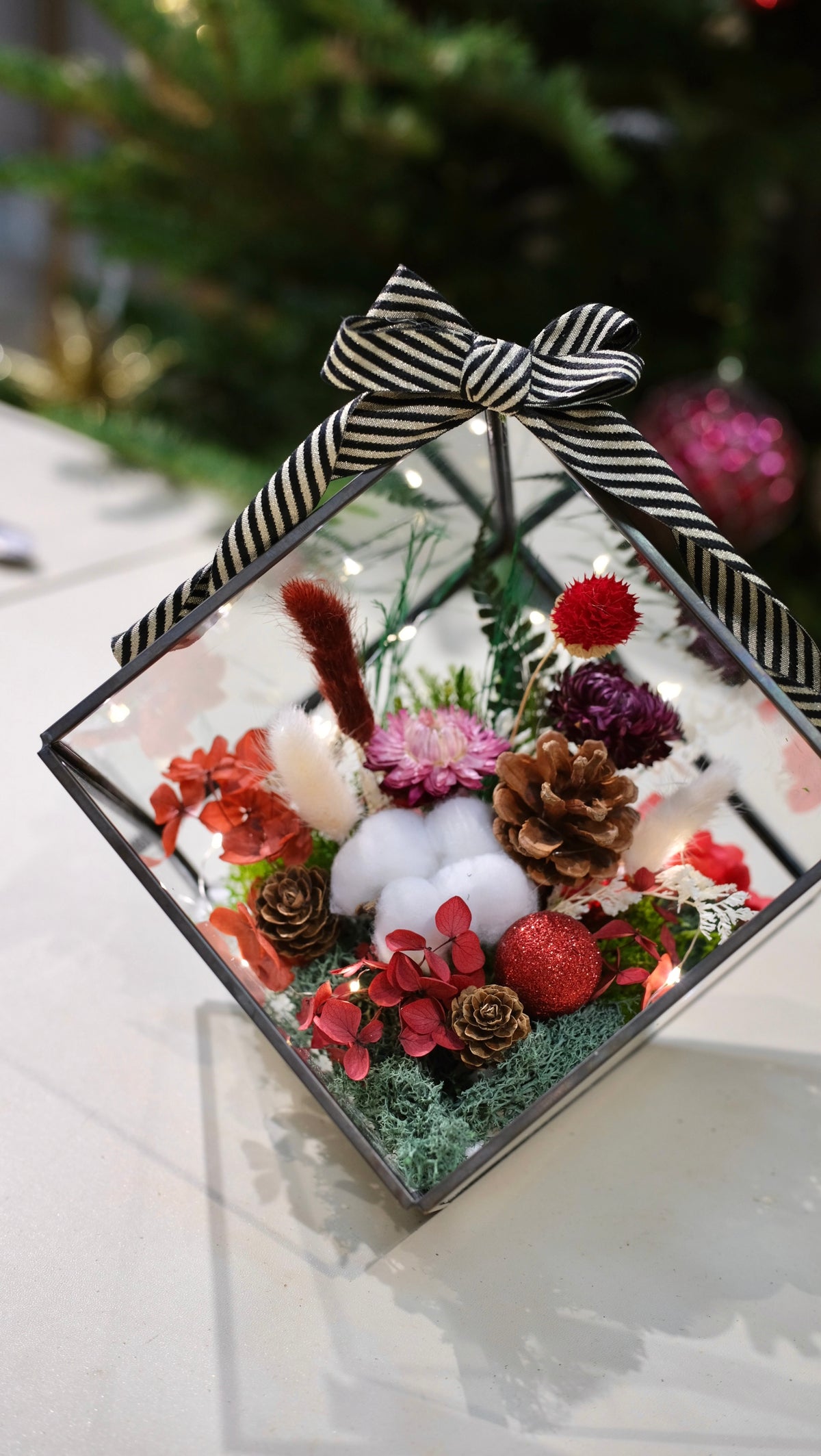 Close-up of a preserved flower terrarium in a glass house with striped ribbon, red blooms and pinecones