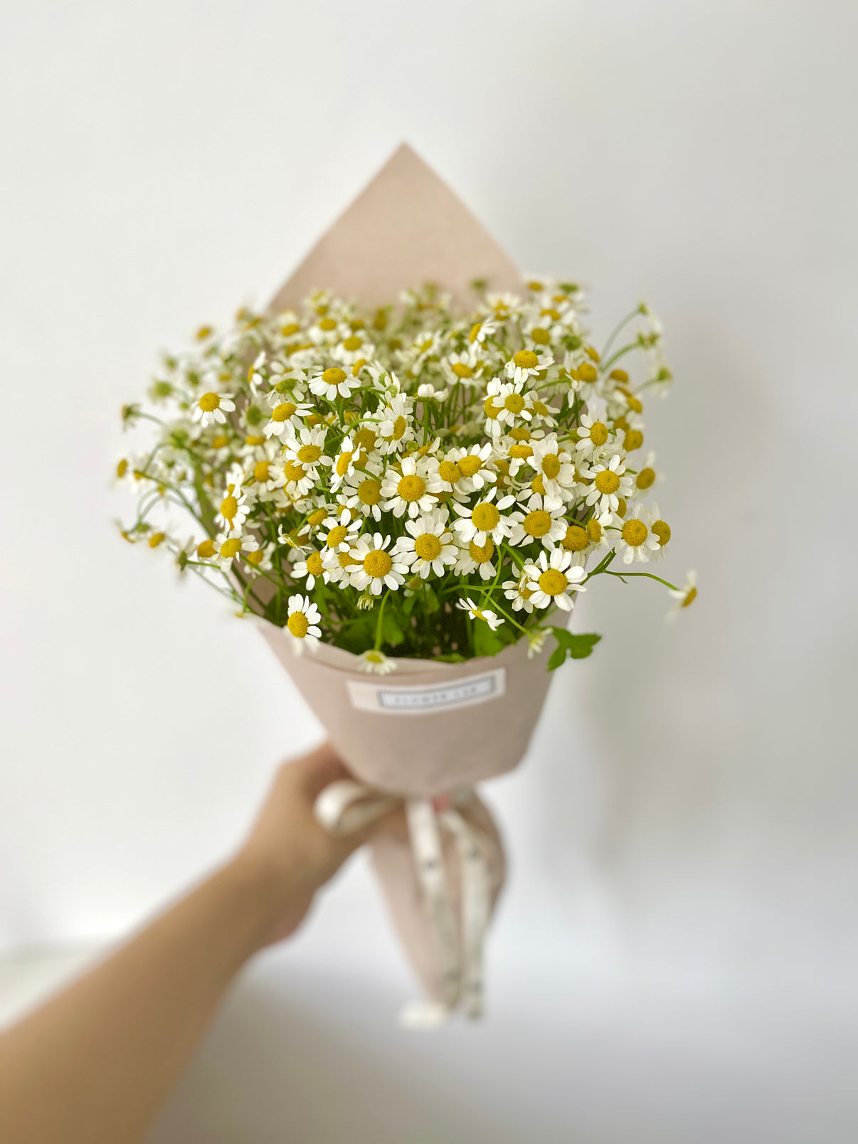FLOWER LAN SINGAPORE Mini Daisy bouquet Online Flower Delivery
